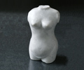 Torso I