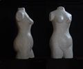 Torso II