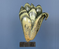 Tulp