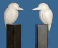 IJsvogel I