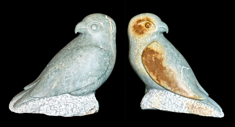 Roofvogel